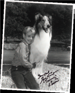 Lassie Set #3 Photographs Photos Collector's Items Set of 2 Vintage Stills 